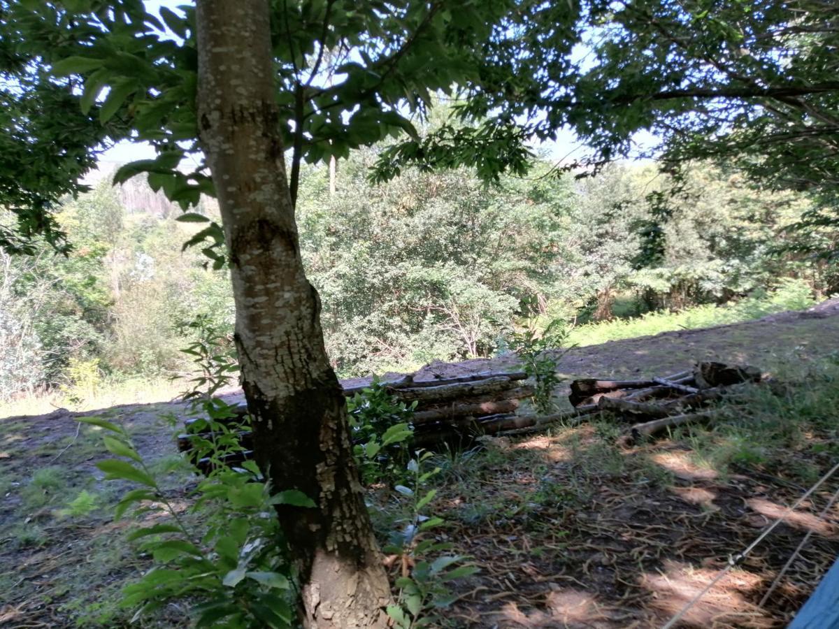 La - En La Naturaleza Caranceja