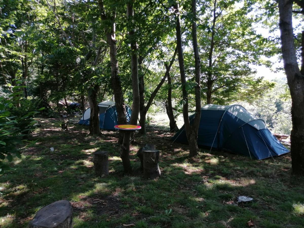 Luxury tent La - En La Naturaleza *