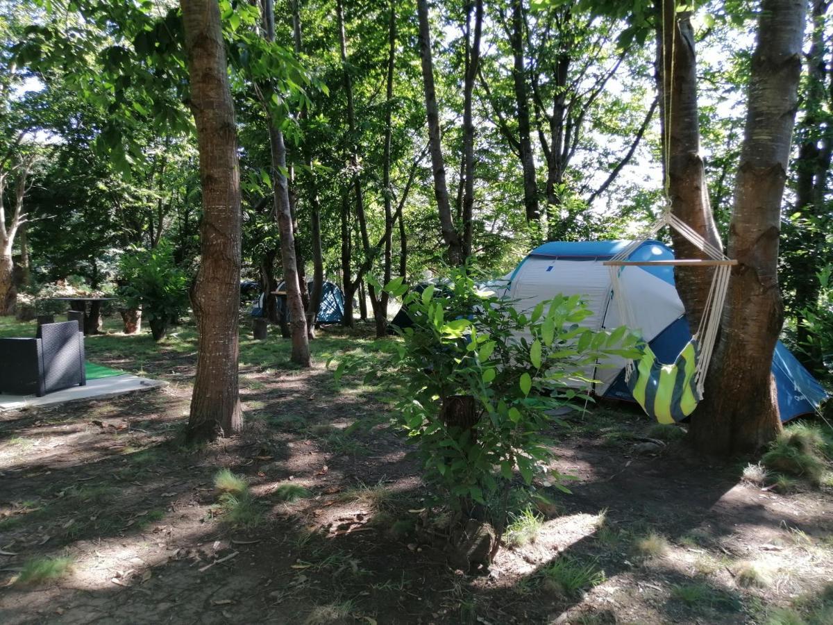 Luxury tent La - En La Naturaleza